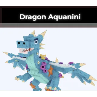 DRAGON AQUANINI [10B/S]