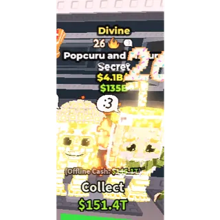 DIVINE POPCURU 4.1B/S