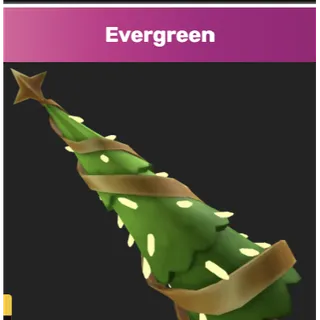EVERGREEN