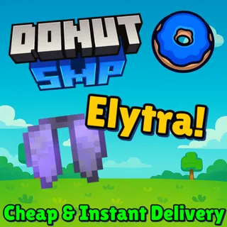 1x Elytra Donut SMP