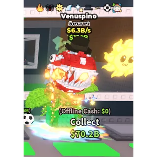 VENUSPINO 6.3 B/S | SAB MONEY MAKER