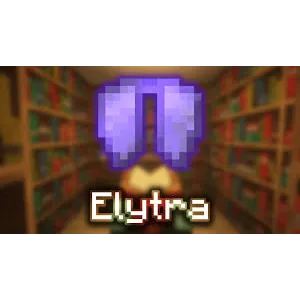 🔥ELYTRA ENCHANTED DONUT SMP 💎 | FAST DELIVERY ⚡ | CHEAP & SAFE