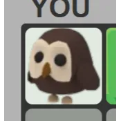 NO POT OWL | ADM ADOPT ME | SAFE AND SECURE