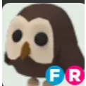 fr owl
