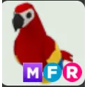 mfr parrot