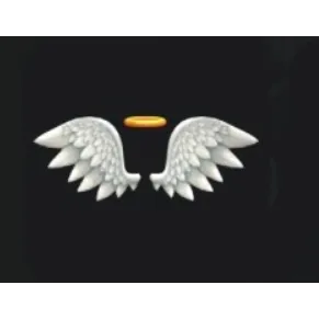 CUPID WINGS