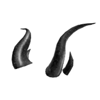 Black Iron Horns Roblox Limited