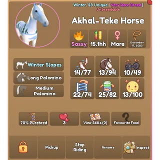 WHI Winter 2023 Akhal-Teke 
