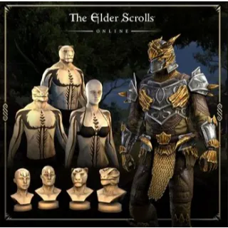 The Elder Scrolls Online Ancient Dragon Hunter Armor