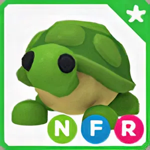 NFR TURTLE
