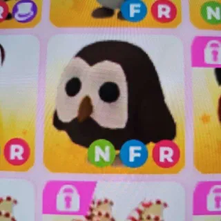 OWL NEON F & R LEGENDARY