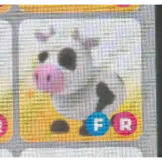 FR Cow