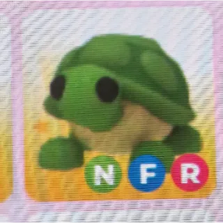 NFR Turtle