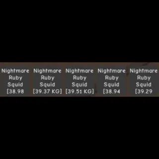 5 X SEMI - HUGE Nightmare Ruby Squid (38-39 KG)