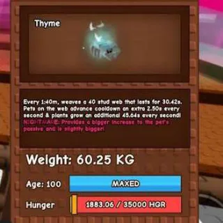 Huge Nightmare GHOSTLY Spider 60+ Kg