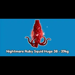 5x Semi - Huge Nightmare Ruby Squid (38-39 Kg )