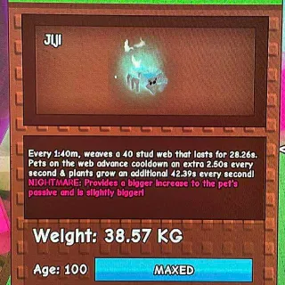 SEMI - HUGE GHOSLTY SPIDER