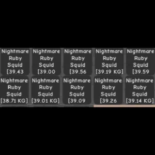 10x SEMI - HUGE RUBY SQUID ( 38-39 KG)