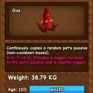 7x Semi-Huge Ruby Squid (38-39+ KG)