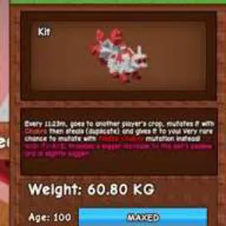 Huge Nightmare Kitsune (60 - 61 KG )