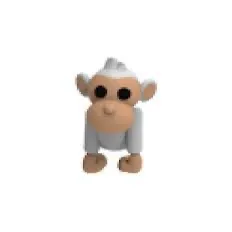 Albino monkey