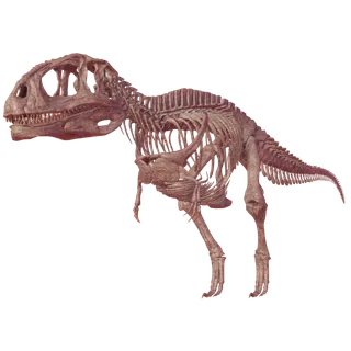 ❗ APPARITION FOSSIL GIGANOTOSAURUS ❗ DINOSAUR SIMULATOR