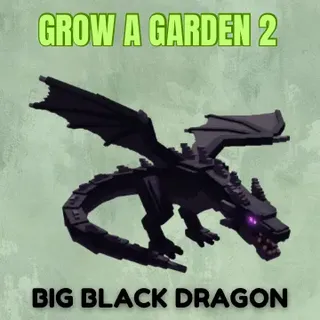 ❗ BIG BLACK DRAGON ❗ 
