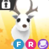 FR Arctic Reindeer