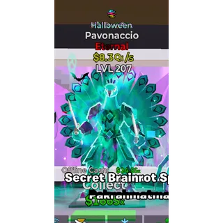 1 TRAIT HALLOWEEN PAVONACCIO