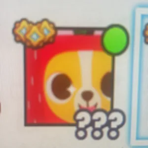 Huge strawberry corgi