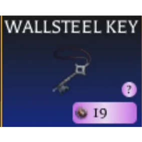 35 Wallsteel Key