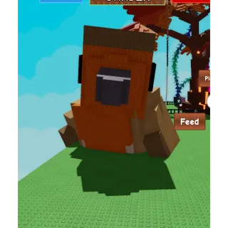 Titanic / Huge Robin - 80.62 KG (Age 100)