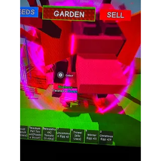 60KG+ Nightmare dilophosaurus 