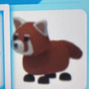 Red Panda (2x)