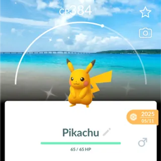 shiny pikachu background