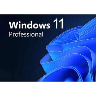 Windows 11 Pro  OEM