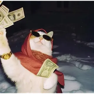 tip 5$