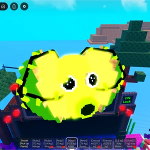 13.3KG Neon Potato Roast