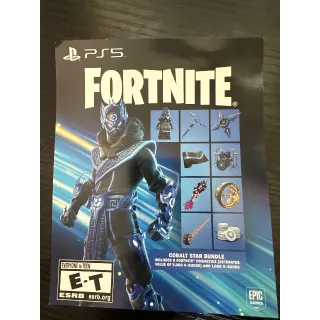 Fortnite Cobalt Star Bundle US