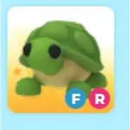 fr turtle