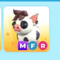 mega mini pig
