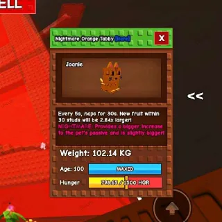 COLOSSAL ORANGE TABBY CAT | GROW A GARDEN