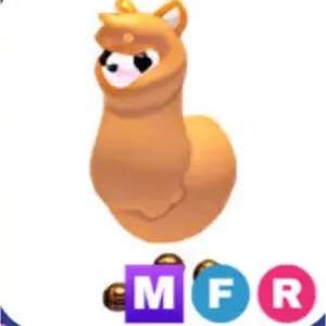 MFR alpaca