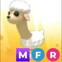 mfr sheeep