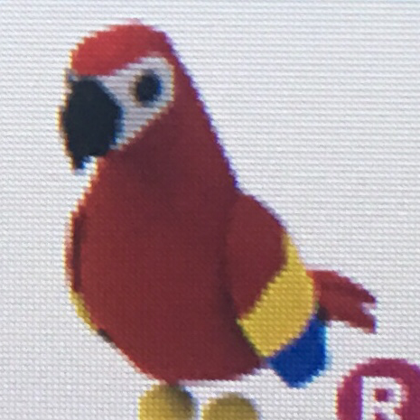 Legendary Adopt Me Pets Parrot