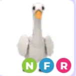 nfr swan