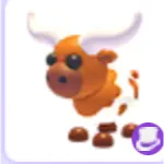 long horn cow