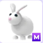 mega rabbit