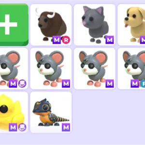 common bundle