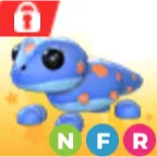 NFR geko
